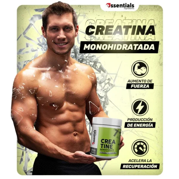 CREATINE MONOHYDRATE 300gr Polvo